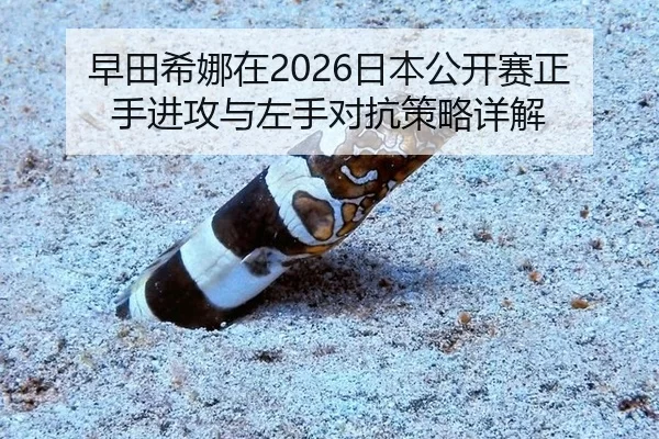 zao-tian-xi-na-zai-ri-ben-gong-kai-sai-zheng-shou-jin-gong-yu-zuo-shou-dui-kang-ce-lve-xiang-jie-2-615.jpg